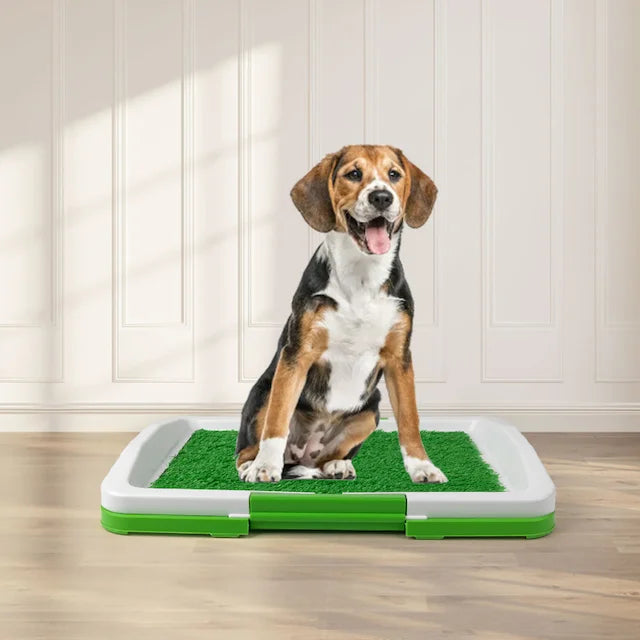 EduCAN™ | Tapete de Entrenamiento para perros