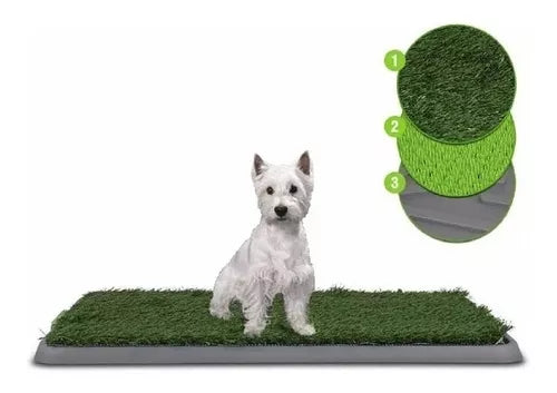 EduCAN™ | Tapete de Entrenamiento para perros