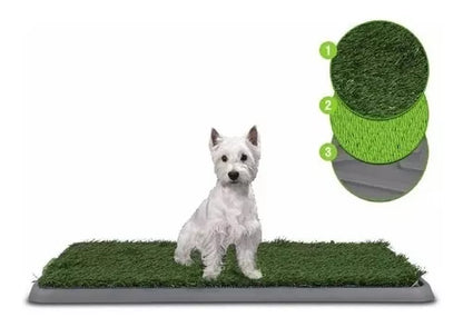 EduCAN™ | Tapete de Entrenamiento para perros